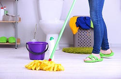 paddington home cleaning services w2