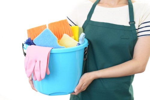 Professional carpet cleaning in Paddington with a focus on care and detail