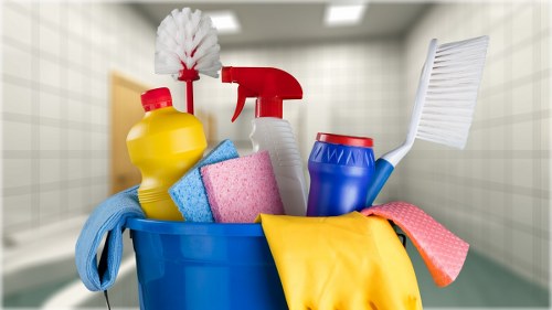 Regular cleaning service for Paddington homes and apartments