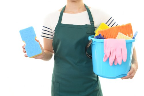 Professional carpet cleaning service in Paddington for homes and businesses
