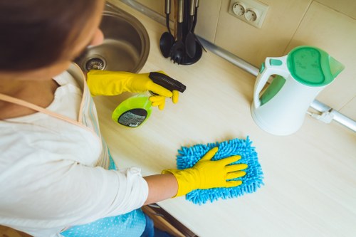 Bathroom and limescale cleaning in a Paddington rental property