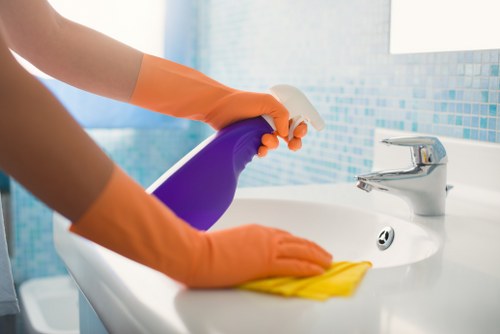 Stain treatment and carpet maintenance for Paddington households