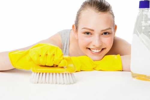 Deep cleaning checklist and equipment for Paddington properties