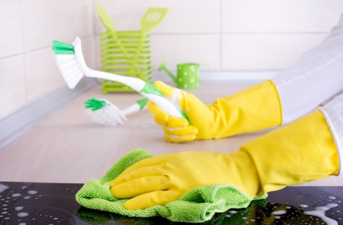 House cleaning tasks in a modern Paddington flat