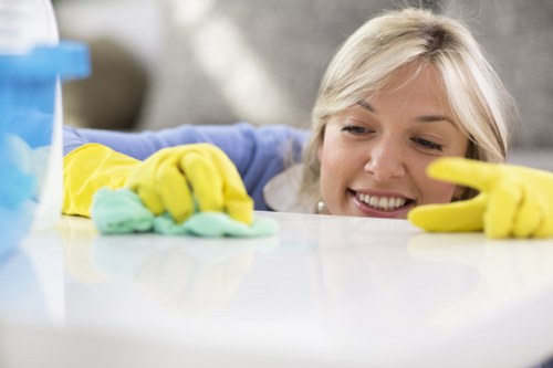 Close-up of carpet cleaning extraction during service