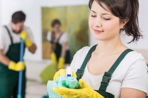 Local cleaning service for period homes in Paddington