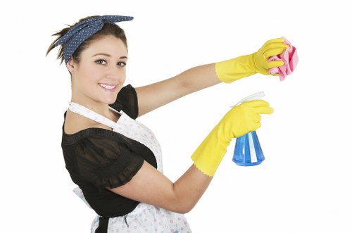 Commercial regular cleaning in a Paddington office setting