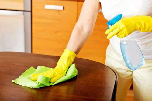 Move out cleaning details in a modern Paddington property