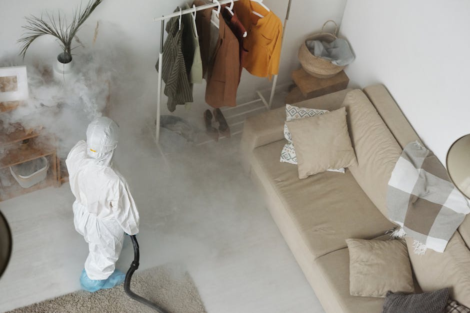 A person dressed in full protective PPE, including a white suit, gloves, and face mask, is using a professional steam cleaning equipment to disinfect a beige fabric sofa in a living room. The room features a wooden floor, a side table with a potted plant, and a clothing rack with hanging garments. A basket containing miscellaneous items is positioned on a stool near the sofa. Steam or mist from the cleaning process is visible in the air, indicating deep surface cleaning and sanitisation by Carpet Cleaning Paddington, aimed at thorough hygiene maintenance in a domestic setting.
