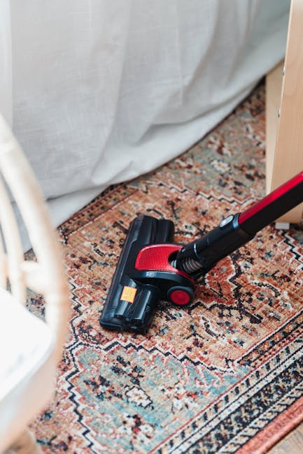 https://carpetcleaningpaddington.org.uk/blog/wine-and-curry-stain-removal-for-paddington-carpets/